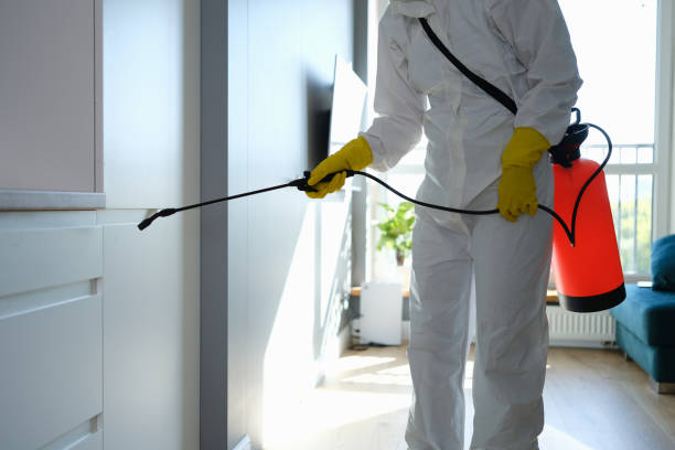 Best Emergency Mold Removal  in Roanoke Rapids, NC