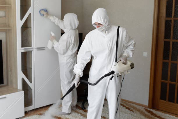 Best Certified Mold Removal  in Roanoke Rapids, NC